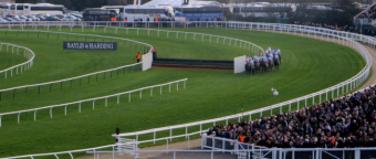 cheltenham horse betting