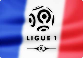 Ligue 1 2013/14