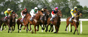 horse racing betting